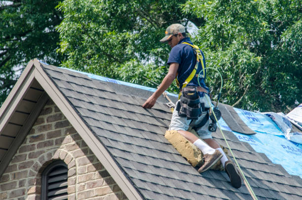 Best Metal Roofing Contractor  in Weber City, VA